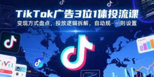 TikTok广告3位1体投流课，变现方式盘点，投放逻辑拆解，自动规则设置-LH资源分享网