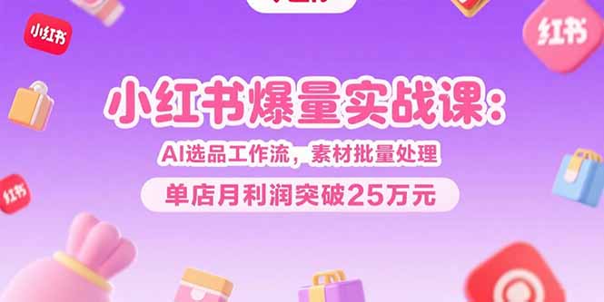 小红书爆量实战课：AI选品工作流，素材批量处理，单店月利润突破25万元-LH资源分享网