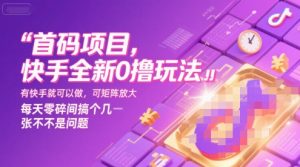 首码项目,快手全新0撸玩法,有快手就可以做,可矩阵放大,每天零碎时间搞个几张不是问题【揭秘】-LH资源分享网