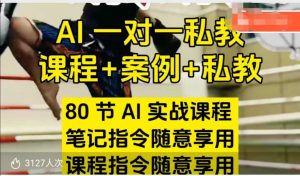 AI指令实战课，课程+案例，80节AI实战课程，笔记指令随意享用，课程指令随意享用(更新7月)-LH资源分享网