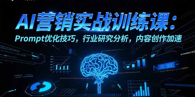 AI营销实战训练课：Prompt优化技巧，行业研究分析，内容创作加速-LH资源分享网