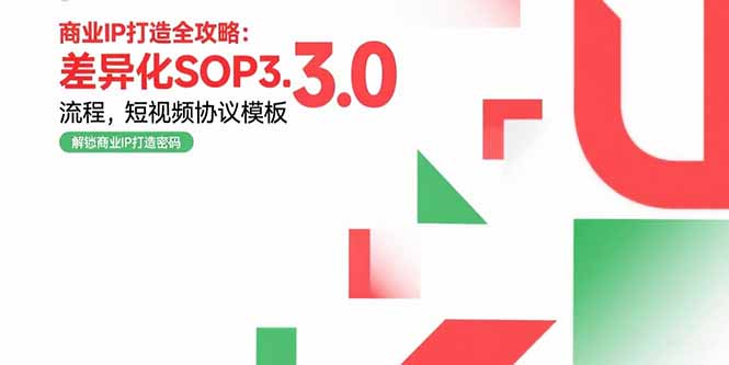 商业IP打造全攻略：差异化SOP3.0流程，短视频协议模板，婚恋项目实战案例-LH资源分享网