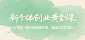新个体创业黄金课，7天构建可持续赚钱系统，抢占2025红利-LH资源分享网