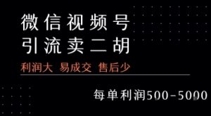 视频号卖二胡教程，利润大 易成交 售后少，一单利润5张+-LH资源分享网