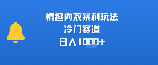 情趣内衣暴利玩法，冷门赛道，日入1k+-LH资源分享网
