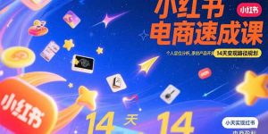 小红书虚拟电商速成课：个人定位分析，原创产品开发，14天变现路径规划-LH资源分享网