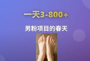 AI一键生成美女素材，一天收益3-8张，男粉项目的春天-LH资源分享网