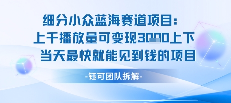小众蓝海赛道项目：当天变现1k+适合新手操作 +适合长期玩-LH资源分享网