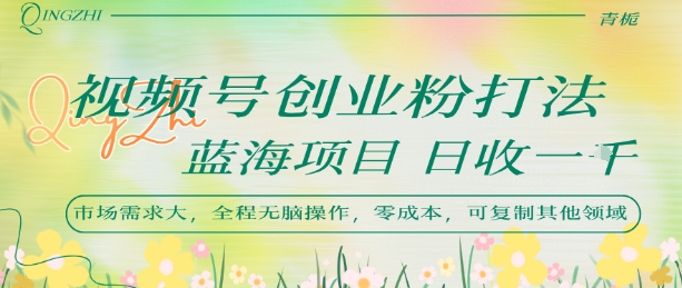 视频号创业粉打法，日入1k，蓝海项目，市场需求大，全程无脑操作，可复制-LH资源分享网
