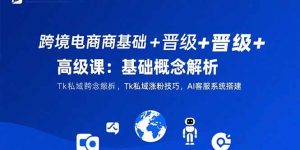 跨境电商基础+晋级+高级课:基础概念解析,Tk私域涨粉技巧,AI客服系统搭建-LH资源分享网