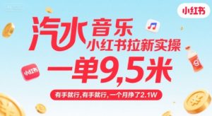 汽水音乐小红书拉新实操，，一单9.5米，有手就行，一个月挣了2.1W-LH资源分享网