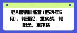 老A营销训练营(更25年7月)，轻理论，重实战，轻概念，重本质-LH资源分享网