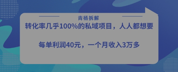 转化率最高的私域项目，每单利润40-50米，月入过1w-LH资源分享网