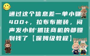通过这个信息差一单小挣4张+，拉布布搬砖，闷声发小财抓住商机的都挣到钱了【保姆级教程】-LH资源分享网