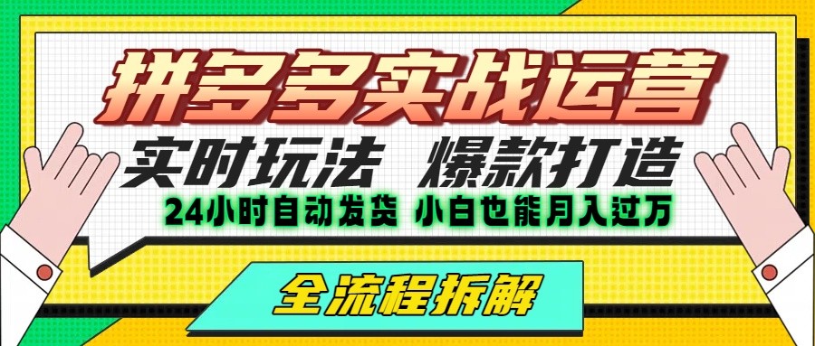 拼多多最新实战运营高投产：长久稳定项目，单店利润一天三位数-LH资源分享网