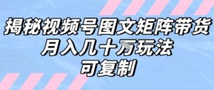 解密视频号图文矩阵带货，月入几个W的打法，可复制-LH资源分享网