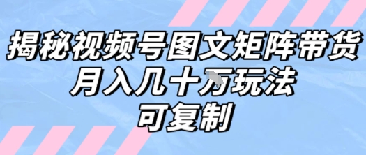 解密视频号图文矩阵带货，月入几个W的打法，可复制-LH资源分享网