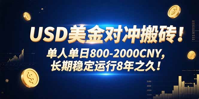USD美金对冲搬砖!单人单日800-2000CNY，长期稳定运行8年之久!-LH资源分享网