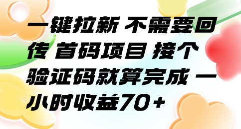 一键拉新 不需要回传 首码项目 接个验证码就算完成 一小时收益70+【揭秘】-LH资源分享网
