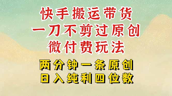 快手黑科技搬运带货，一刀不剪过原创，微付费投流玩法，轻松日入四位数…-LH资源分享网