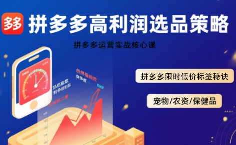 拼多多选品暴利技术实战课，拼多多高利润选品策略，拼多多限时低价标签秘诀-LH资源分享网