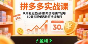 拼多多实战课:从高利润选品到自然流高投产起爆 30天实现低风险可持续盈利-LH资源分享网