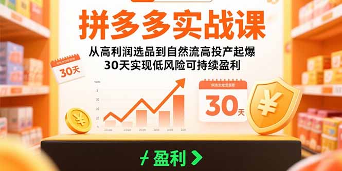 拼多多实战课：从高利润选品到自然流高投产起爆 30天实现低风险可持续盈利-LH资源分享网