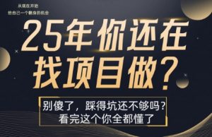 25年，你还在疯狂的找项目吗？别傻了，看完这个你都懂了【揭秘】-LH资源分享网