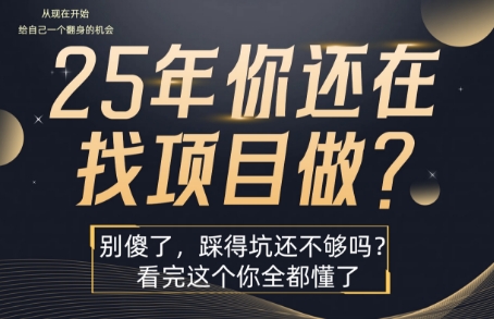 25年，你还在疯狂的找项目吗？别傻了，看完这个你都懂了【揭秘】-LH资源分享网