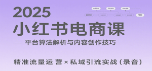 2025小红书电商课：解析算法，创作高转化内容，助力卖家获取流量实现变现(录音)-LH资源分享网