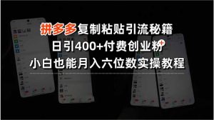 拼多多复制粘贴引流秘籍，日引400+付费创业粉，小白也能月入六位数实操…-LH资源分享网