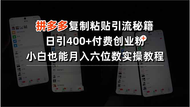 拼多多复制粘贴引流秘籍，日引400+付费创业粉，小白也能月入六位数实操…-LH资源分享网