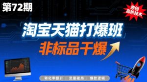 淘宝天猫打爆班原创高阶技术第72期，非标品干爆-LH资源分享网