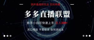 多多直播联盟 全新玩法 单机单日变现300+不要求电脑配置 玩法简单暴力-LH资源分享网
