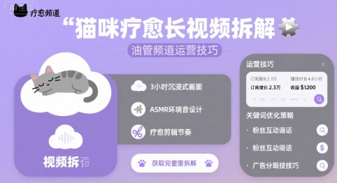 猫咪疗愈长视频拆解 &油管频道运营技巧-LH资源分享网