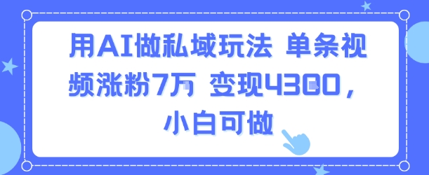 用AI做私域玩法，单条视频涨粉7W变现4.3k，小白可做-LH资源分享网