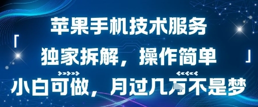 苹果手机技术服务，独家拆解，操作简单，小白可做，月过1W不是梦-LH资源分享网