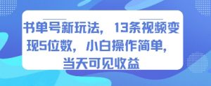 书单号新玩法，13条视频变现5位数，小白操作简单，当天可见收益-LH资源分享网