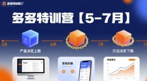 多多特训营【5-7月】产品决定上限，方法决定下限，各种玩法技巧落地实操-LH资源分享网