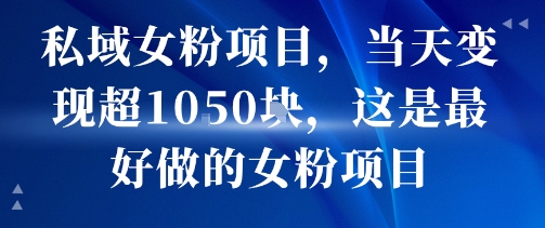 私域女粉项目，当天变现超1k，这是最好做的女粉项目，可放大操作-LH资源分享网