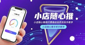 小店随心推微付费撬动自然流投手教学，小店随心推手把手教学-LH资源分享网