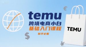 temu跨境电商小白基础入门课程，新手必看-LH资源分享网