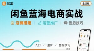 闲鱼蓝海电商实战，店铺搭建运营售后全流程-LH资源分享网