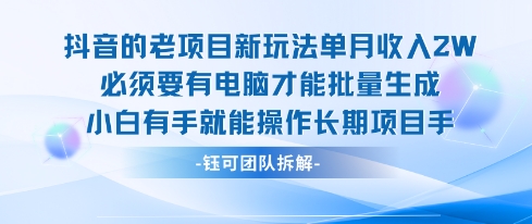 老项目新玩法单月收入2W小白有手就能操作长期项目-LH资源分享网