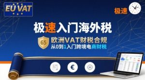 极速入门海外税,欧洲VAT财税合规,从0到1入门跨境电商财税-LH资源分享网