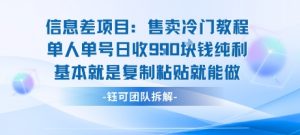信息差项目：售卖冷门教程单人单号日收9张纯利基本就是复制粘贴就能做-LH资源分享网