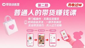 小红书带货第二期训练营，普通人月收过W的带货课，时间自由，零门槛无压货，一部手机即可操作-LH资源分享网