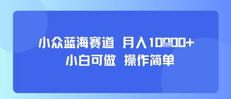 小众蓝海赛道，小白可做，操作简单，每天30分钟，月入1W+-LH资源分享网