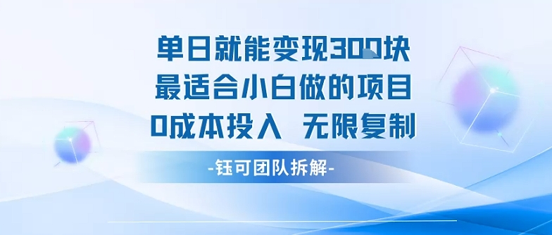 单日就能变现3张最适合小白做的项目0成本投入 无限复制-LH资源分享网