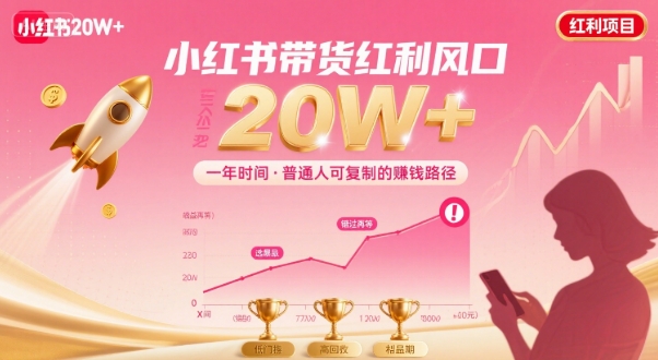 一年时间靠小红书带货项目年入20w+，最不能错的大红利项目-LH资源分享网